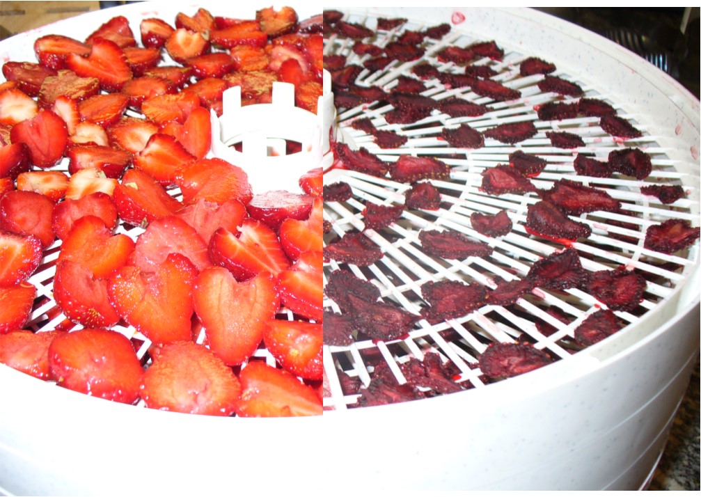http://www.homepreservingbible.com/wp-content/uploads/2016/06/Dried-strawberries-photo-by-Carole-Cancler.jpg
